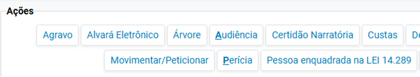Opção Movimentar/Peticionar